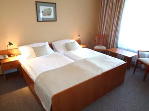Spa Hotel Devin - Chambre
