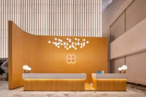 Hilton Garden Inn Nanjing Hexi Olympic Sports Center - Recepción