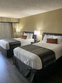 Wingate by Wyndham Springfield - Chambre
