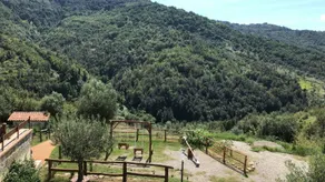 Agriturismo Piano di Andrea - View from room