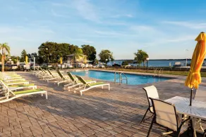 The Citrus Hotel - Pool