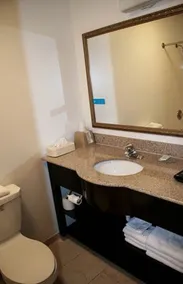 Valley Oaks Inn Woodland - Salle de bain