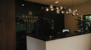 Tourist Resort Ribarsko Ostrvo - Reception