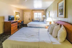 Montrose Valley Lodge - Room