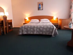 Hotel Gromada Medical SPA Busko Zdrój - Zimmer