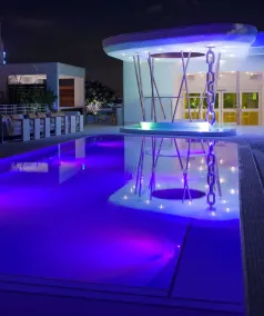 Dream South Beach, by Hyatt - Piscine