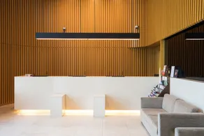 Sotetsu Hotels The Splaisir Seoul Dongdaemun - Reception