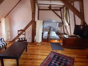 Hotel Alte Försterei - Room
