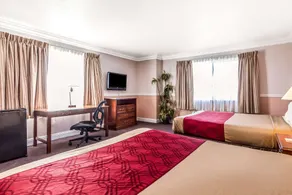 Econo Lodge Castro Valley I-580 - Chambre