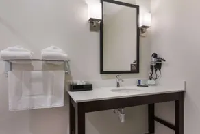 Sleep Inn East Camden - Salle de bain