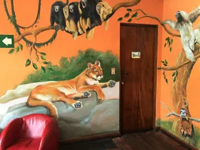 Costa Rica Backpackers - Room