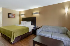 Econo Lodge Roanoke Civic Center - Chambre