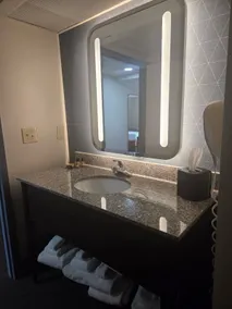Hamilton Inn Birmingham-Bessemer - Salle de bain