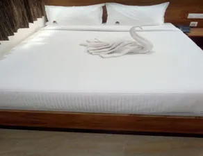 Lingaa's Residency - Room