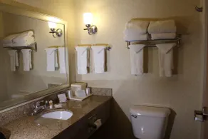 Comfort Suites Canton - Detroit - Salle de bain