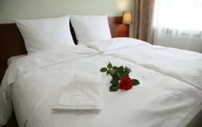 Aparthotel Globus Self Check-in - Rum