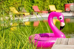 Domaine Riberach - Hotel 4 - Restaurant gastronomique - Spa - Piscine - Vignoble - Pool