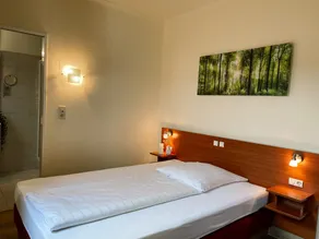 Hotel Falk - Room