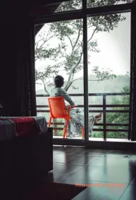 Wayanad Whistling Woods - Terrass/Patio