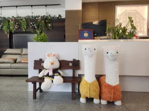 Jia-Jia Business Hotel - Recepción