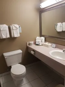 Quality Hotel & Conference Centre - Salle de bain