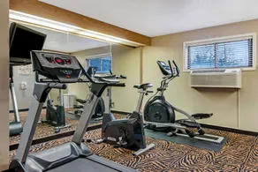 Sleep Inn near I-80 and I-94 - Salle de remise en forme