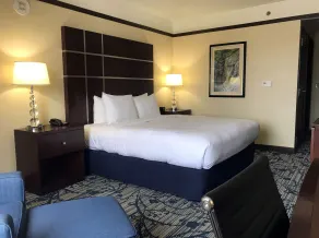 Hilton Asheville Biltmore Park - Chambre