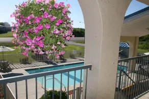Grand Vista Hotel - Pool