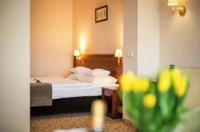 Dosłońce Resort Wellness & Farm - Room