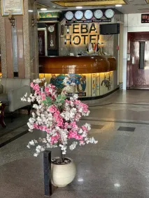 Teba Hotel Ras Elbar - Réception