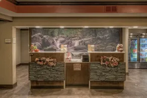 La Quinta by Wyndham Pigeon Forge - Reception