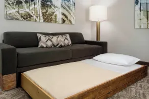 SpringHill Suites by Marriott Belmont Redwood Shores - Chambre