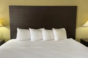 Baymont by Wyndham Evansville North/Haubstadt - Chambre