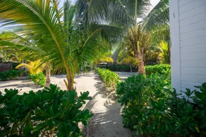 Tekio Beach Hotel - View from room