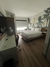Cambria Hotel Tampa-Brandon - Chambre