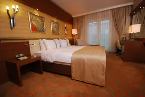 Holiday Inn Ankara-Kavaklidere by IHG - Vue de la chambre