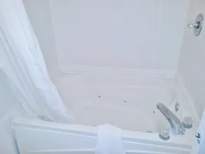 Econo Lodge Athens I-65 - Salle de bain