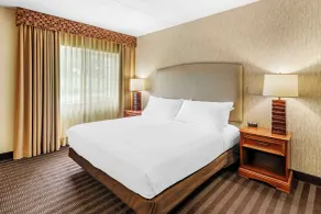 Best Western Springfield Hotel - Zimmer
