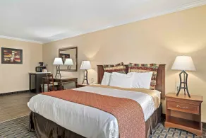 The Lemon Tree Hotel - Chambre