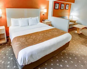 Comfort Suites Pittsburgh Airport - Chambre