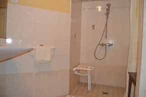 Hôtel du Lion Vert - Badeværelse