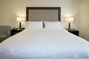 Holiday Inn Hammond by IHG - Værelse