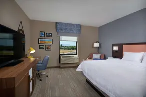 Hampton Inn by Hilton Burley - Room