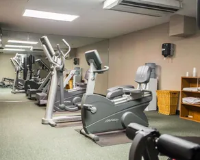 Quality Inn New Columbia-Lewisburg - Fitness facility