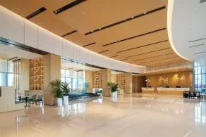 Hilton Garden Inn Zhuhai Hengqin Sumlodol Park - Recepción