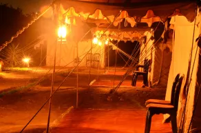 Royal Rajputana Camp - Værelse
