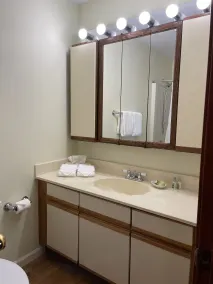 The Central Downtown Inn Suites - Salle de bain