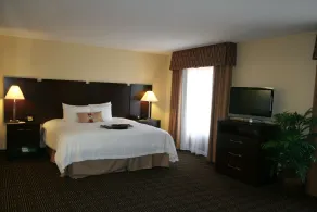 Hampton Inn & Suites Orlando-John Young Pkwy/S. Park - Chambre