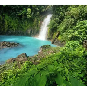 AURALTA RIO CELESTE I Elohi Collection - Diversos
