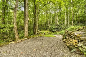 'lotsa Moose Lodge' Pisgah Forest Waterfall Cabin! - Intérieur